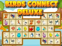 Birds Connect Deluxe image