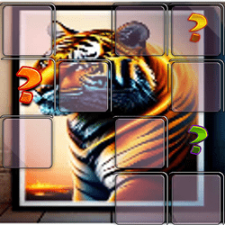 Meci de memorie Tiger Animal