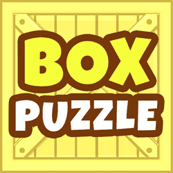 Box puzzle